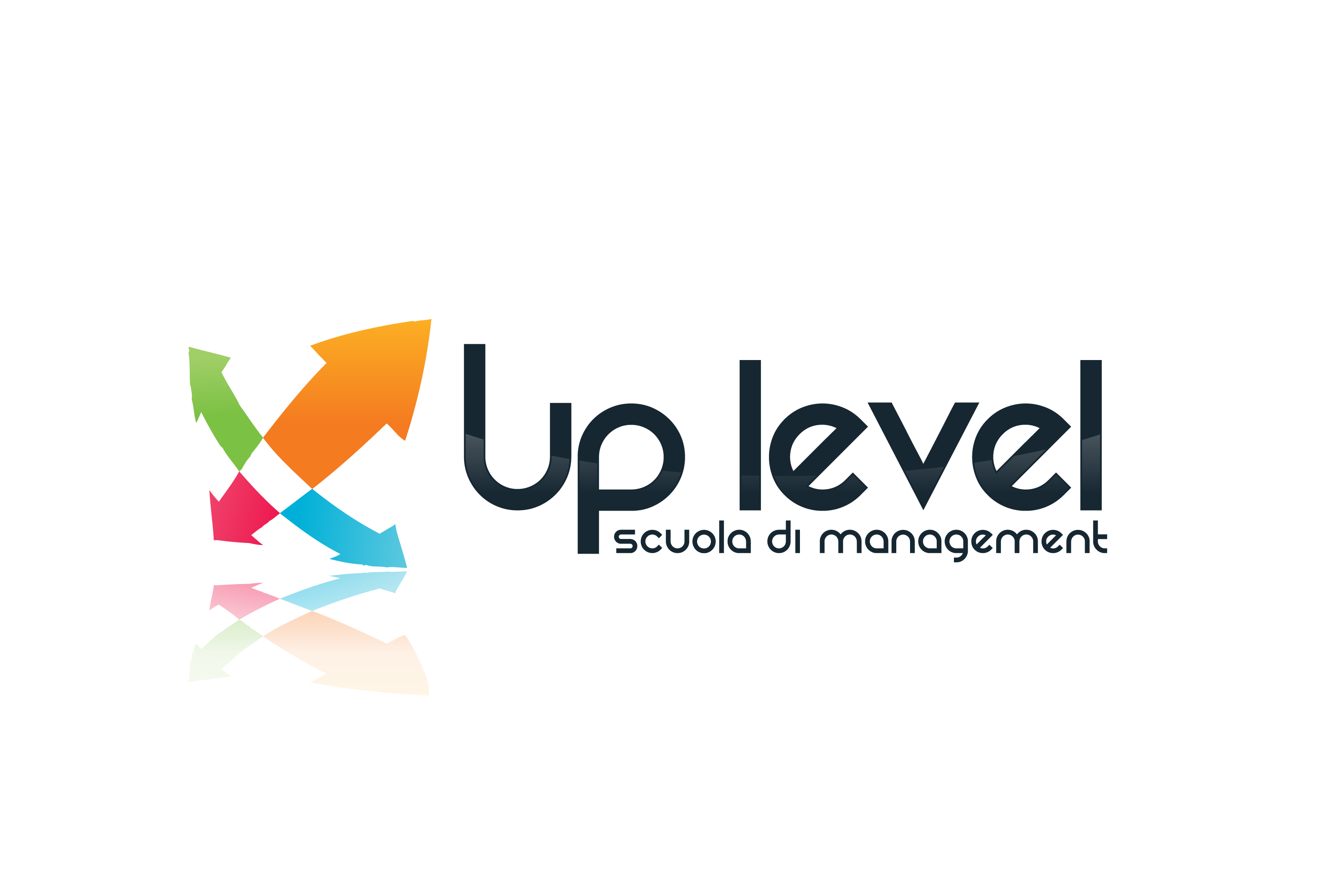 Up level Scuola di Management srl